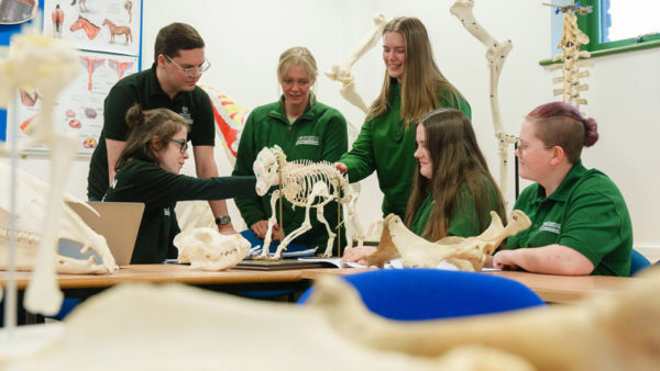 Animal Management and Veterinary Nursing